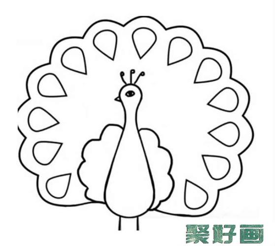 漂亮孔雀開屏簡筆畫集